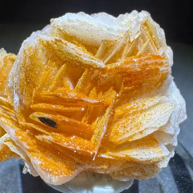 [BUNJANG] Barite and Vanadinite Specimen / 중정석 바나듐납 공생 표본