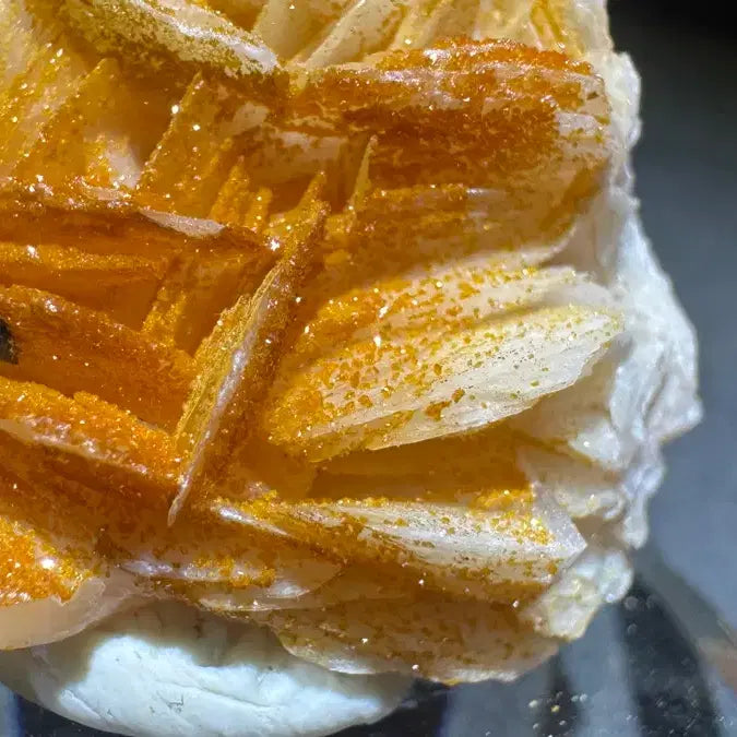 [BUNJANG] Barite and Vanadinite Specimen / 중정석 바나듐납 공생 표본