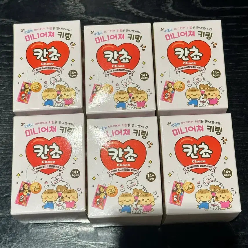[BUNJANG] Kansho Miniature Keyring / 칸쵸 미니어쳐 키링 미개봉 새상품