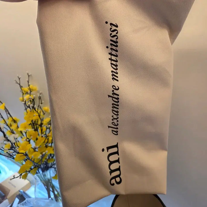 [BUNJANG] AMI Paris Stripe Canvas Tote Bag / [새상품] 아미(AMI) 파리 스트라이프 캔버스 토트백 (진짜24시간만