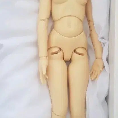 [BUNJANG] Volks SDC Len Ball Jointed Doll / 보크스 SDC 렌 구체관절인형