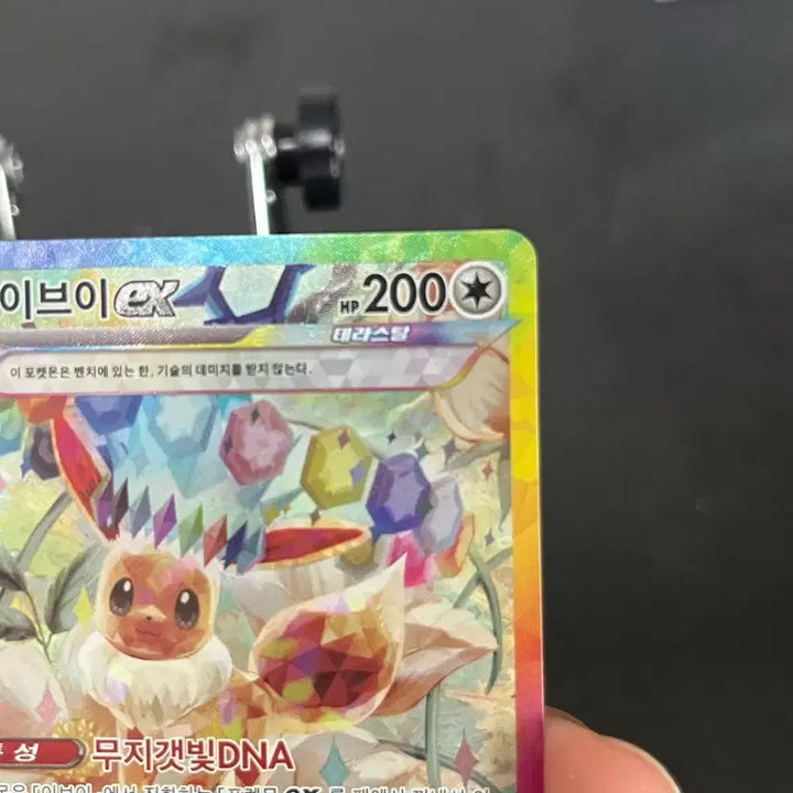 [SOLD OUT] 포켓몬 카드 이브이 ex SAR 테라스탈 223/187