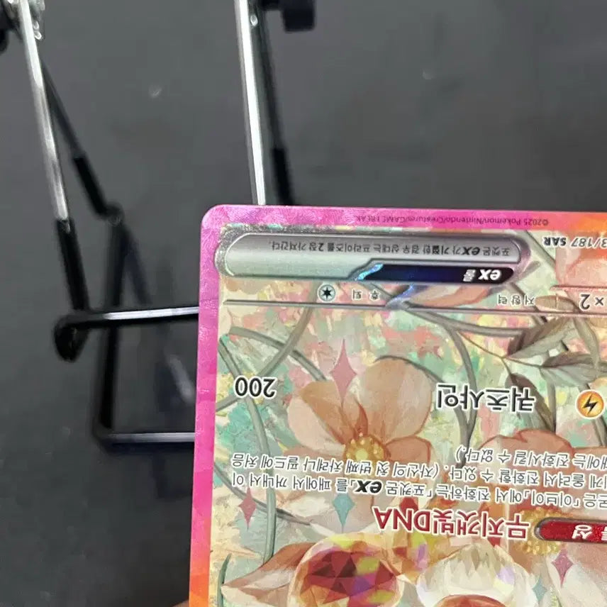 [SOLD OUT] 포켓몬 카드 이브이 ex SAR 테라스탈 223/187