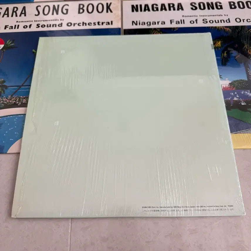 [BUNJANG] Eiichi Ohtaki Niagara EACH TIME LP / 오타키 에이이치 Niagara EACH TIME LP (2)