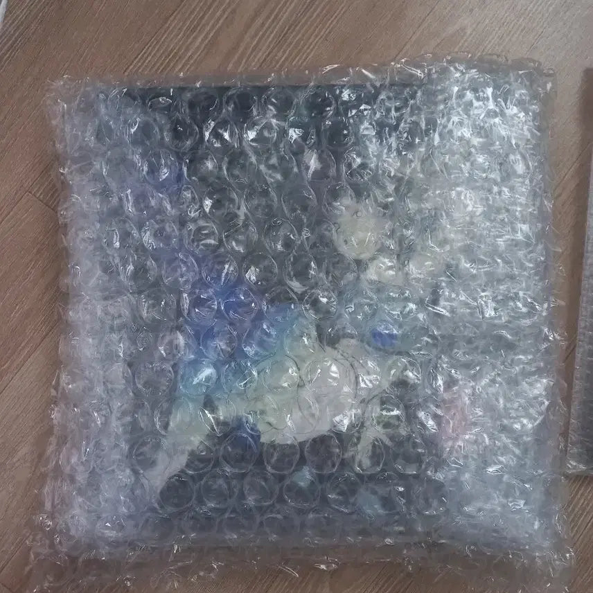 [SOLD OUT] 한로로 이상비행lp 팝니다.