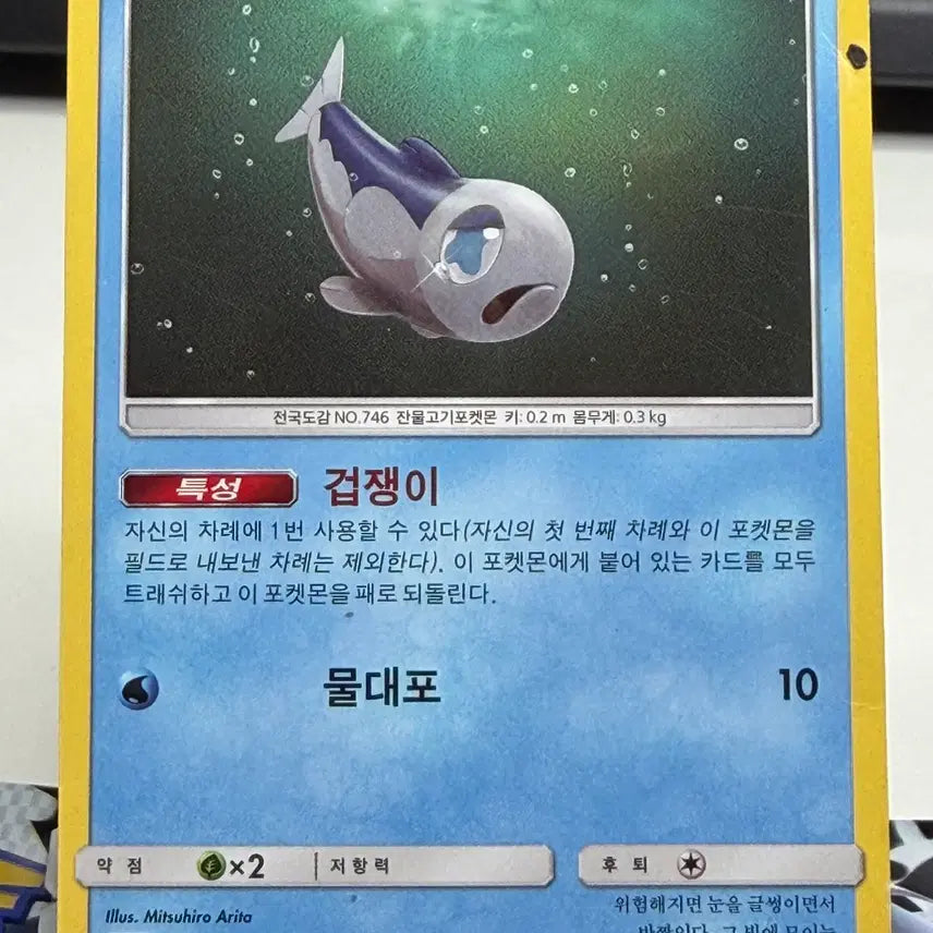 [BUNJANG] Generic Card B+ Album Use / 약어리 일반 카드 [꽁짜] B+ 앨범용