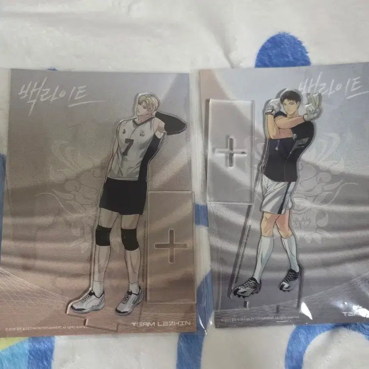 [SOLD OUT] 백라이트 한서인 백영운 아크릴 스탠드 일괄