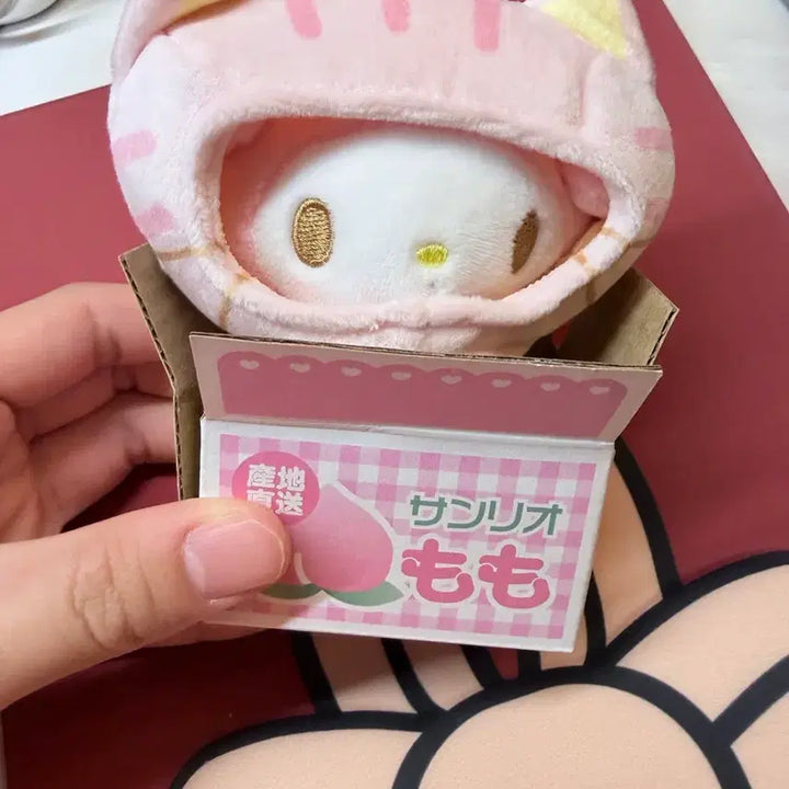 [BUNJANG] Sanrio My Melody Momo Plush / 산리오 마이멜로디 모모