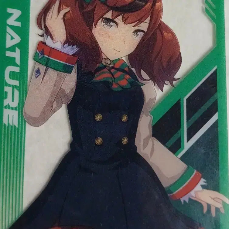[BUNJANG] Uma Musume Nice Nature Card / 우마무스메 나이스 네이처 카드 애니플러스