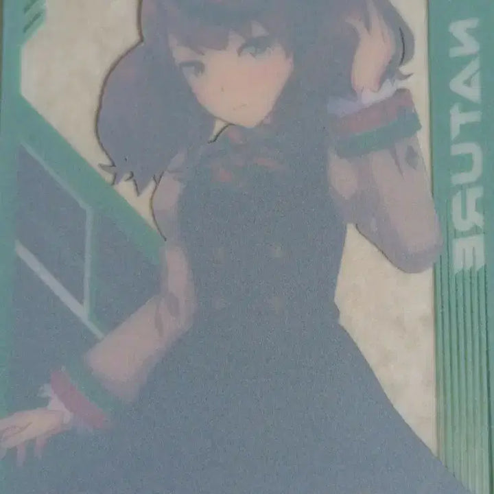 [BUNJANG] Uma Musume Nice Nature Card / 우마무스메 나이스 네이처 카드 애니플러스
