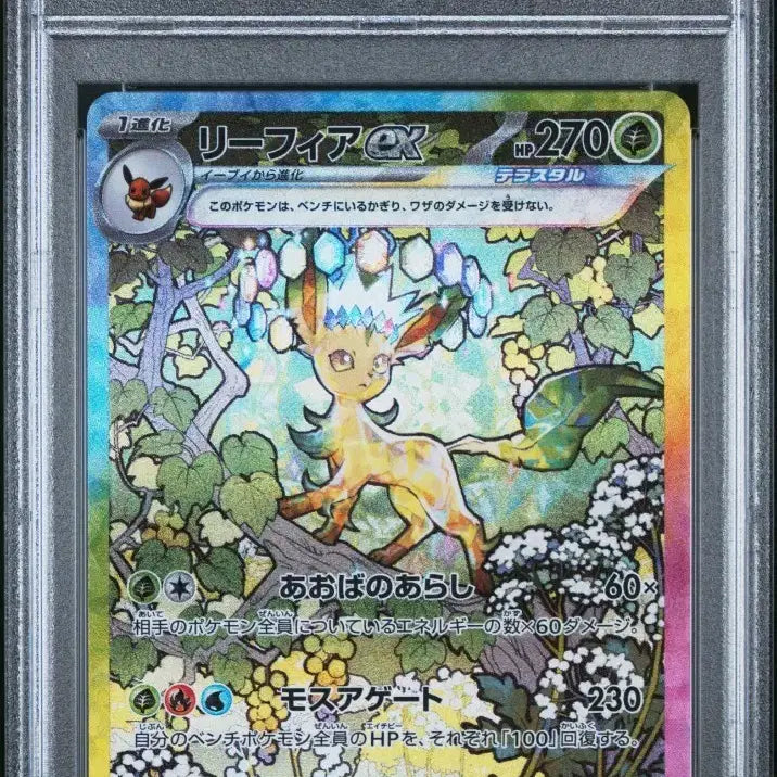 [SOLD OUT] 포켓몬카드 일판 리피아  PSA9