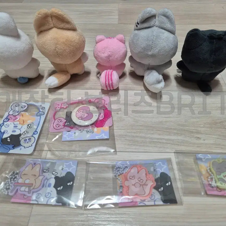 [BUNJANG] PLAVE Official Plush Doll Bundle Set / 플레이브 비공식 솜인형 말랑플브 특전포함 일괄판매