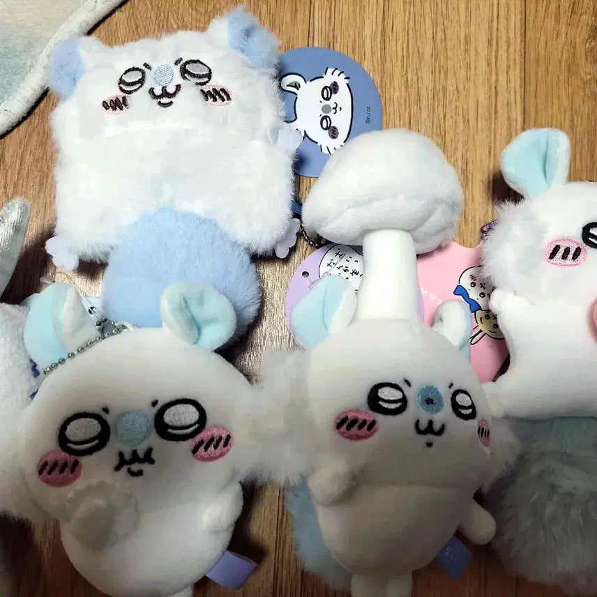 [BUNJANG] Momo-ga Doll Bundle / 모몽가 인형 일괄 처분
