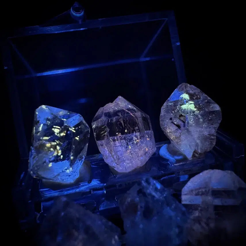 [BUNJANG] Enhydro Petroleum Quartz Collection Box / 석유 포유 수정 컬렉션 박스