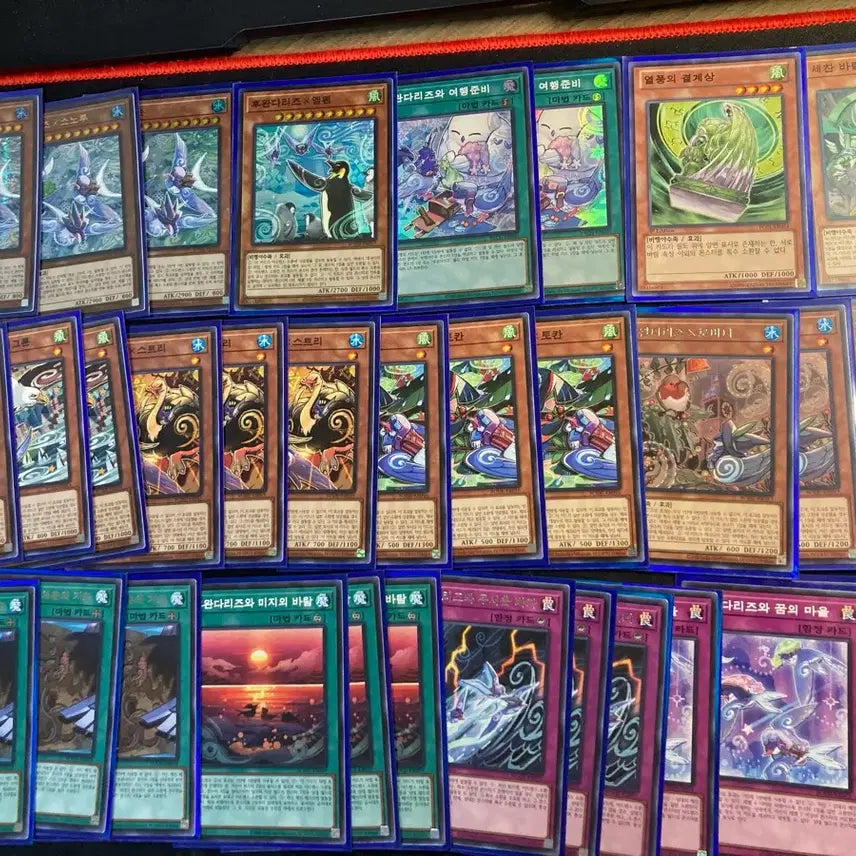 [BUNJANG] Yu-Gi-Oh! Floowandereeze Deck / 유희왕 후완다리즈 덱 팝니다(범용 카드,패트랩o)