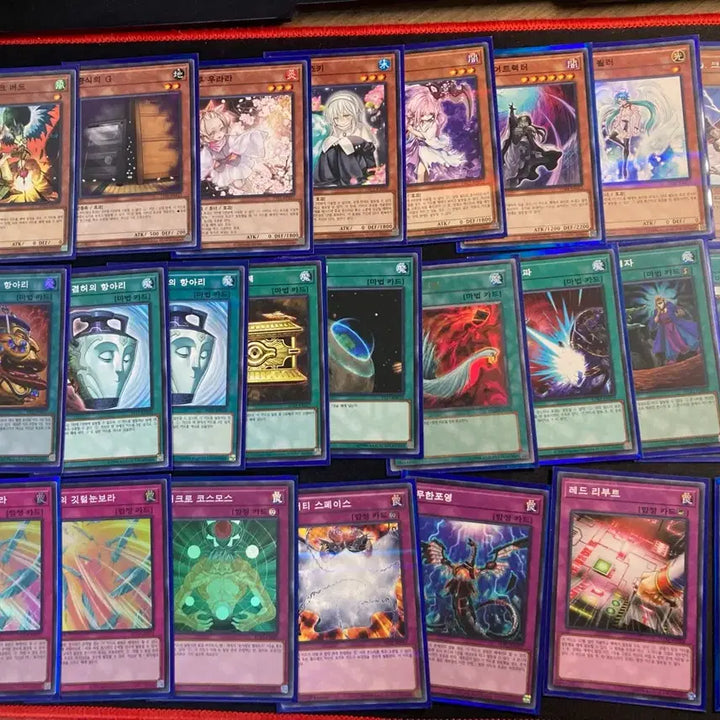 [BUNJANG] Yu-Gi-Oh! Floowandereeze Deck / 유희왕 후완다리즈 덱 팝니다(범용 카드,패트랩o)