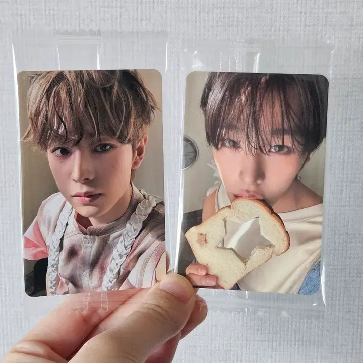 [SOLD OUT] 엔시티위시 오드투러브 케타포 미공포 리쿠&amp;유우시 세트 쿠우쿠우즈