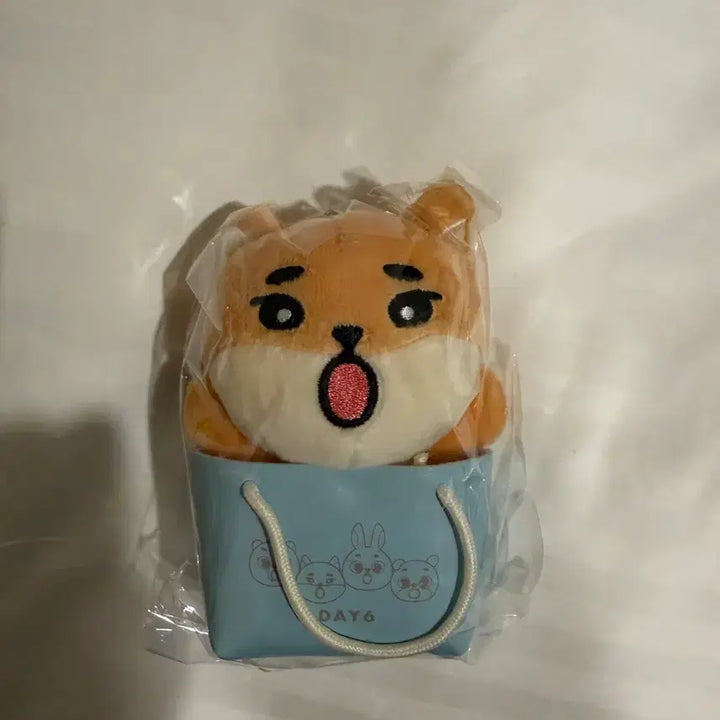 [BUNJANG] Day6 Japanese Ke Doll / 데이식스 일본 케 인형