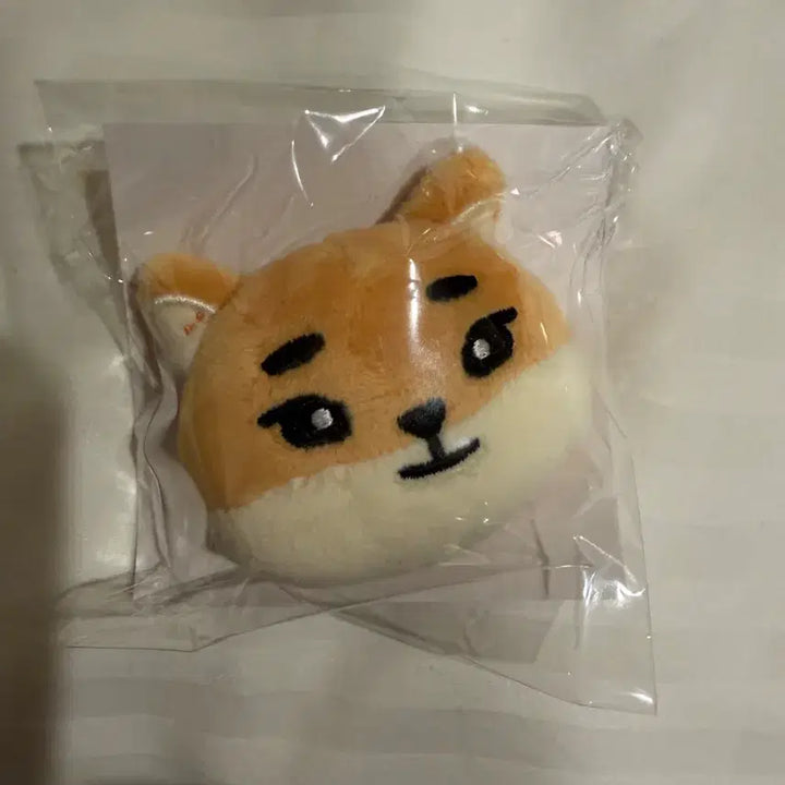 [BUNJANG] Day6 Japanese Concert Pin / 데이식스 일본 케 삔
