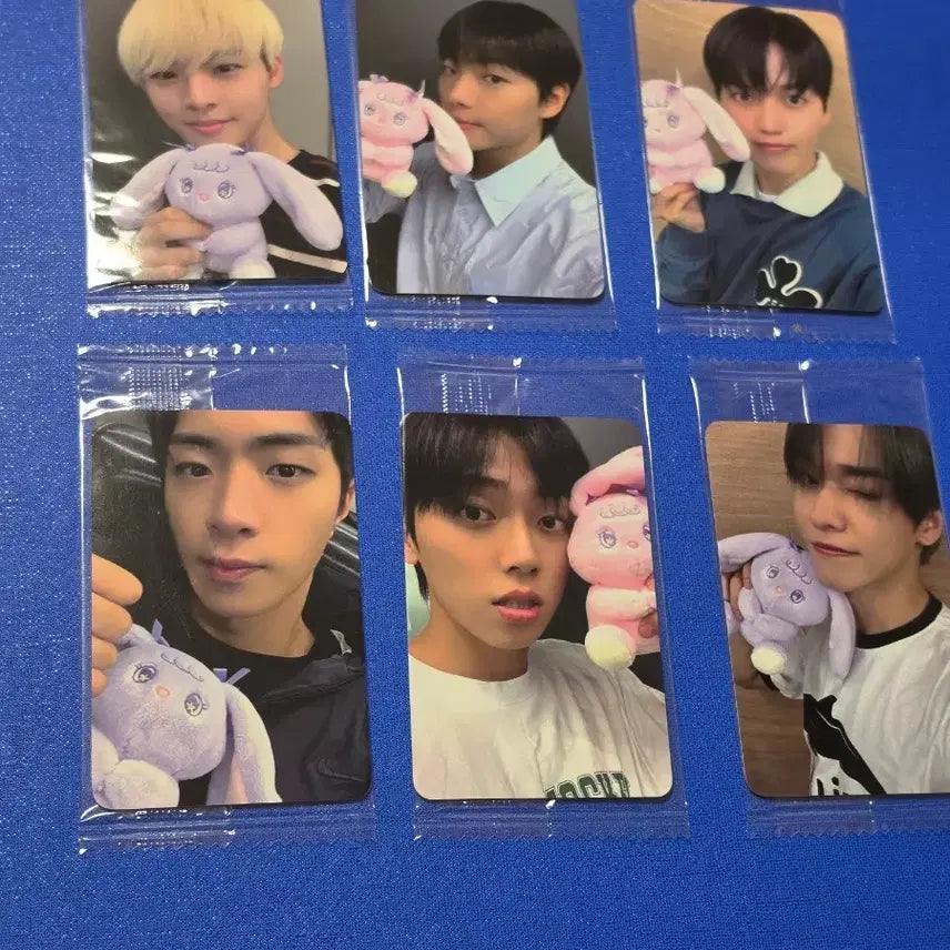 [BUNJANG] ONF Love Effect ( 바람이 분다 ) POB Bundle Set / 온앤오프 러브이펙트(바람이 붘다) 미공포 일괄
