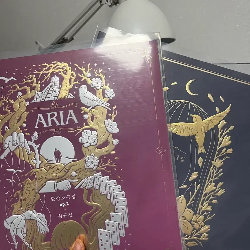 [SOLD OUT] 심규선 환상소곡집 lp 개봉반 1,2