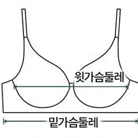 [SOLD OUT] 미싱도로시 브라 85A