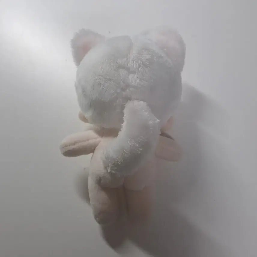 [SOLD OUT] 데못죽 박문대 10cm 솜인형 시고르뭉대