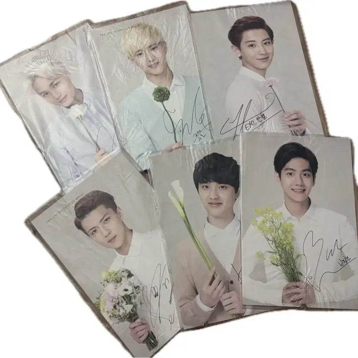 [BUNJANG] EXO-K Nature Republic Postcard / 엑소 케이 exo-k 네이처 리퍼블릭 엽서