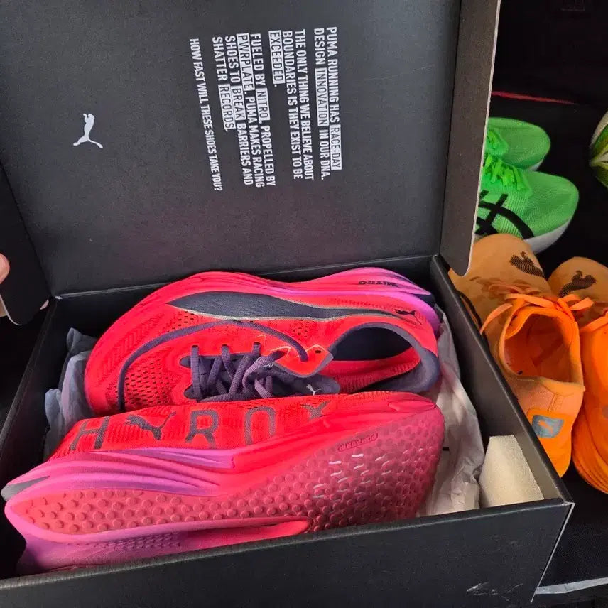[SOLD OUT] 하이록스 푸마 엘리트4