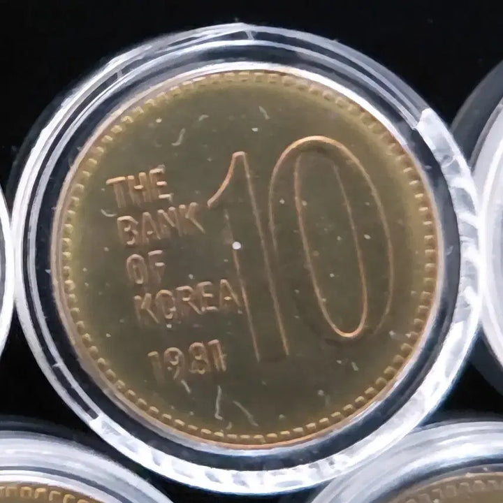 [BUNJANG] 1981 10 Won Coin Set / 특년도 1981년 10원 동전 1개