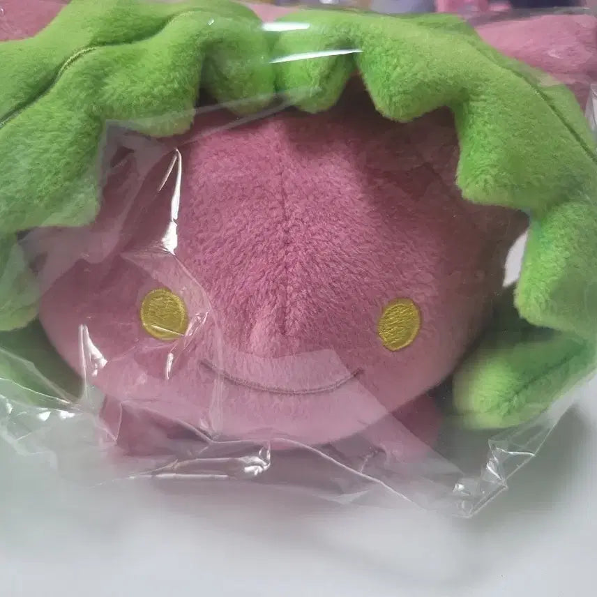 [BUNJANG] Pokemon Fit Stuffed Toy / 통통코 올스타 인형 포켓몬 fit