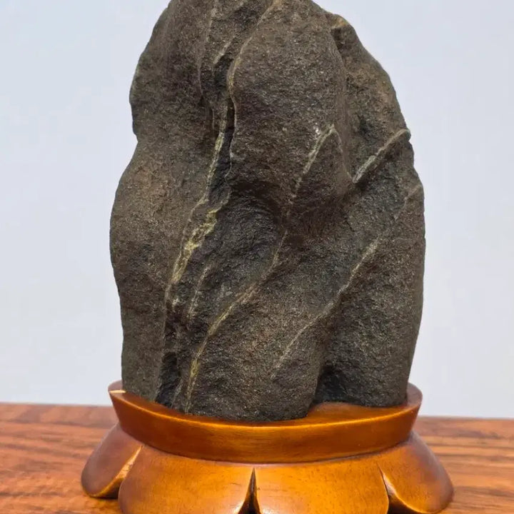 [BUNJANG] Goesan Skin Stone / 26042603 속돌 변화가 좋은 괴산 피부석 수석 팝니다