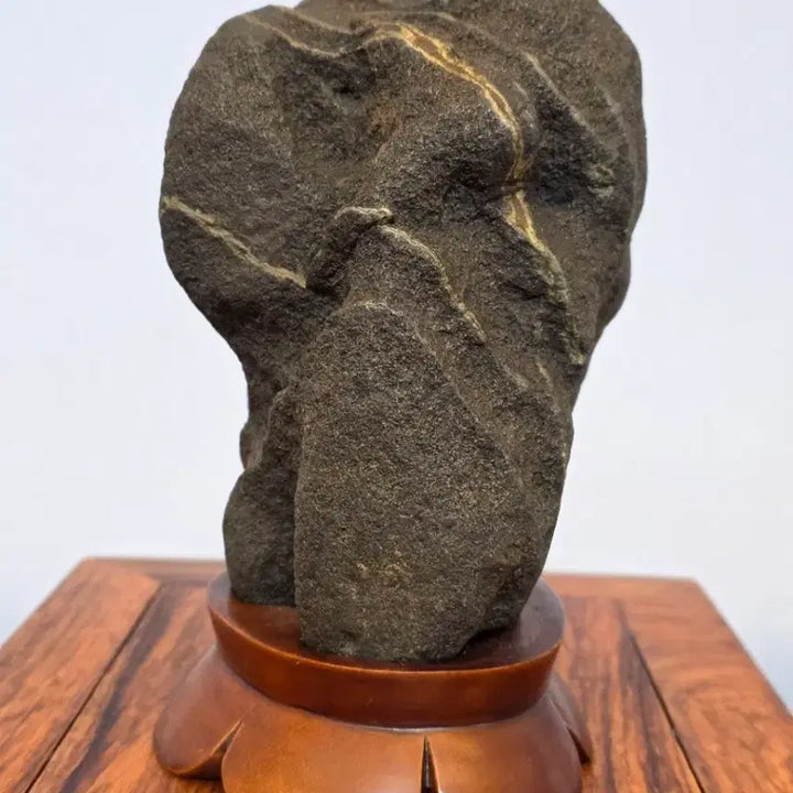 [BUNJANG] Goesan Skin Stone / 26042603 속돌 변화가 좋은 괴산 피부석 수석 팝니다