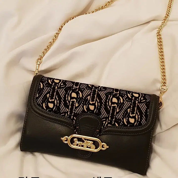 [BUNJANG] Coach Wallet Bag / 코치 월렛백