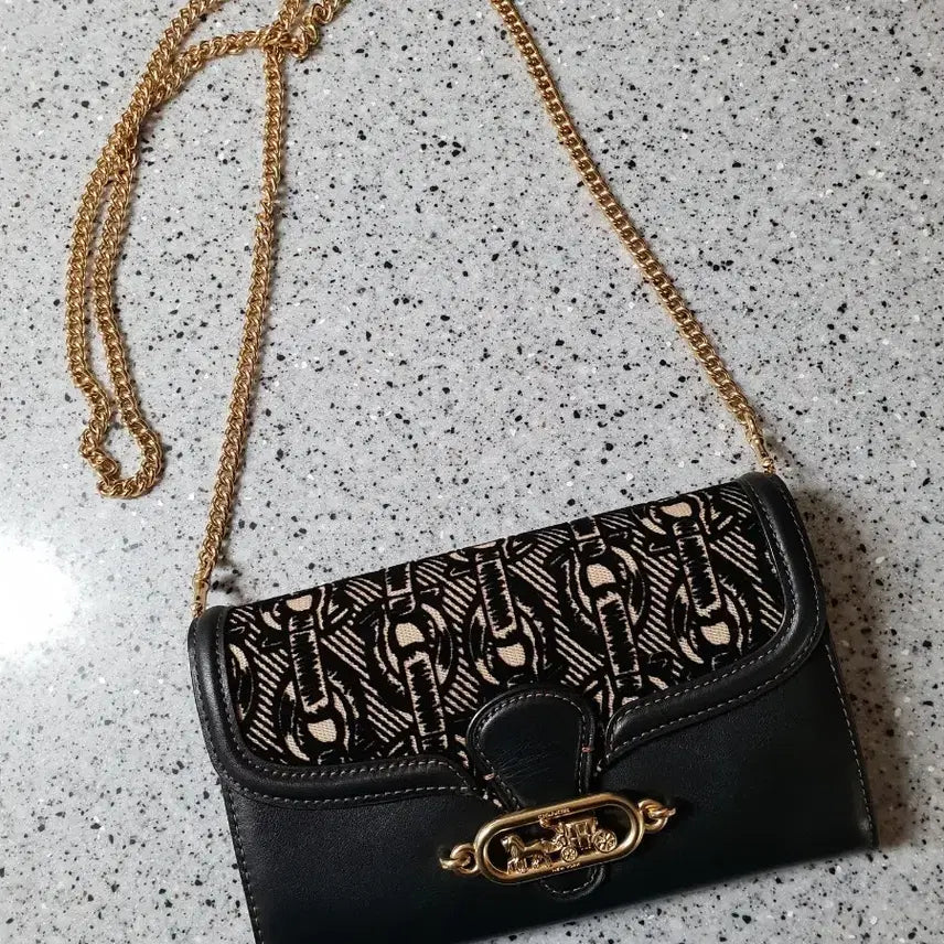 [BUNJANG] Coach Wallet Bag / 코치 월렛백