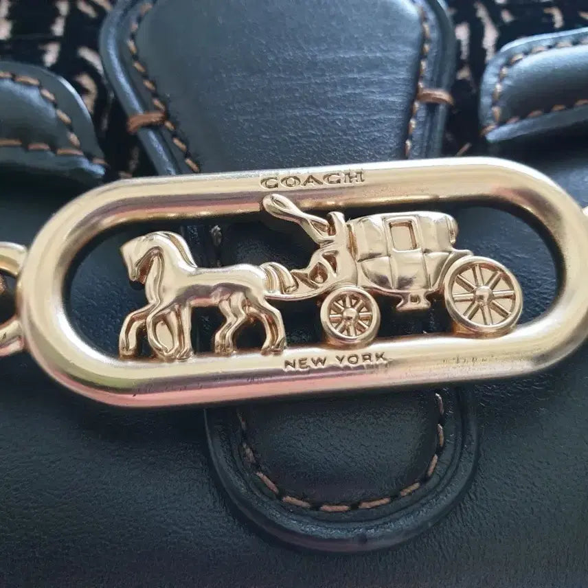 [BUNJANG] Coach Wallet Bag / 코치 월렛백