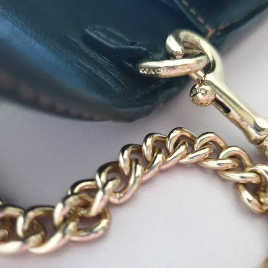 [BUNJANG] Coach Wallet Bag / 코치 월렛백