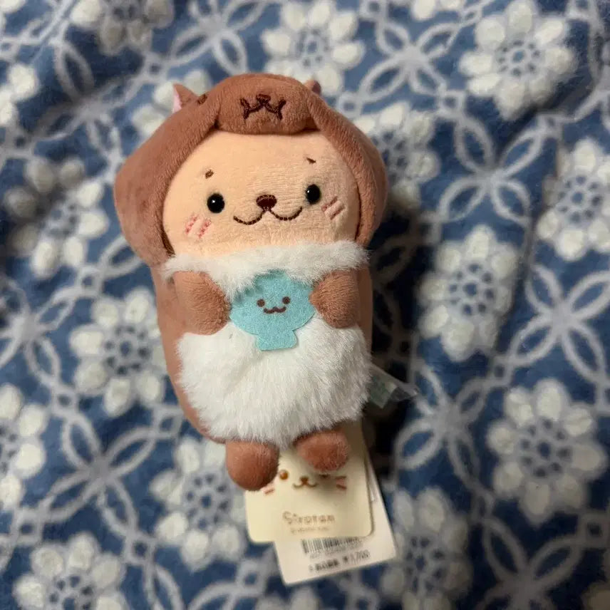 [BUNJANG] Shirotan Squirrel Plush Doll / 시로탄 다람쥐 인형
