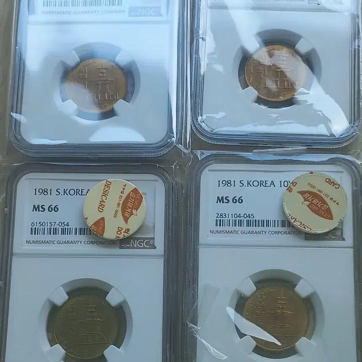 [BUNJANG] 1981 10 Won Coin NGC MS 66 (4-Coin Set) / 1981년10원ngc66등급 4개팝니다.