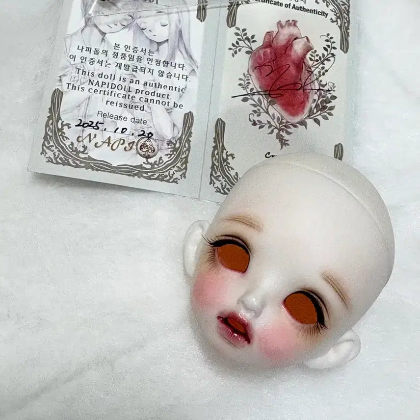 [BUNJANG] Napi Doll Carol White Head Ball Jointed Doll USD / 나피돌 캐롤 미백 헤드 구체관절인형 usd