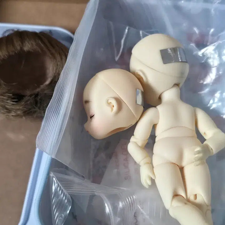 [BUNJANG] Obitsu11 Brownie BJD Doll / 오비츠11 브라우니 구관인형 구체관절인형