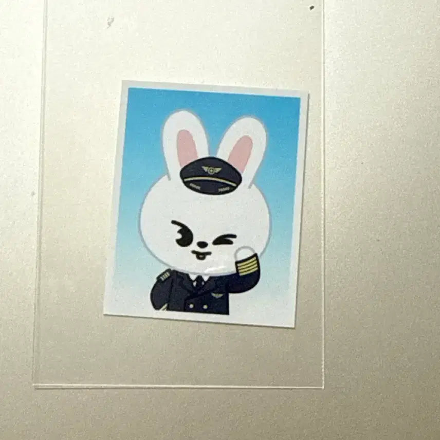 [SOLD OUT] 스트레이키즈 스키즈 스키주 팝업 리빗 리노 증명사진 증사