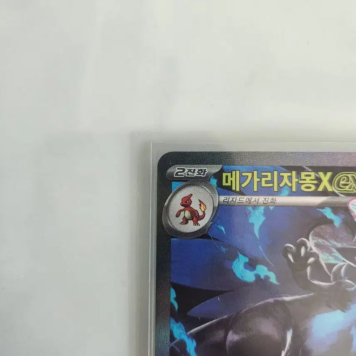 [SOLD OUT] 메가리자몽x ex sar