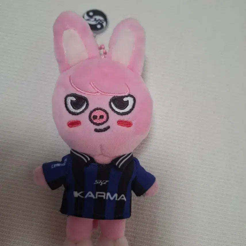 [BUNJANG] Figure / 돼끼