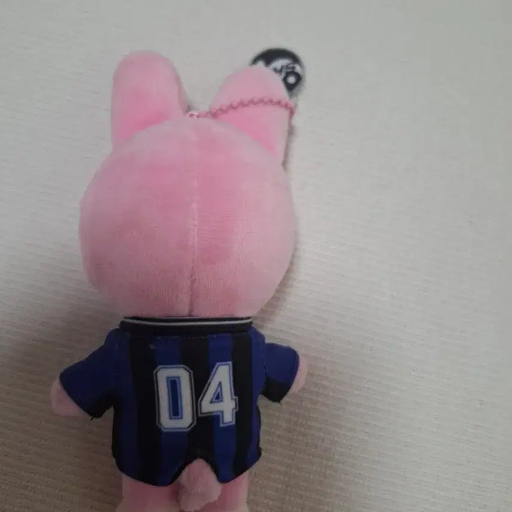 [BUNJANG] Figure / 돼끼