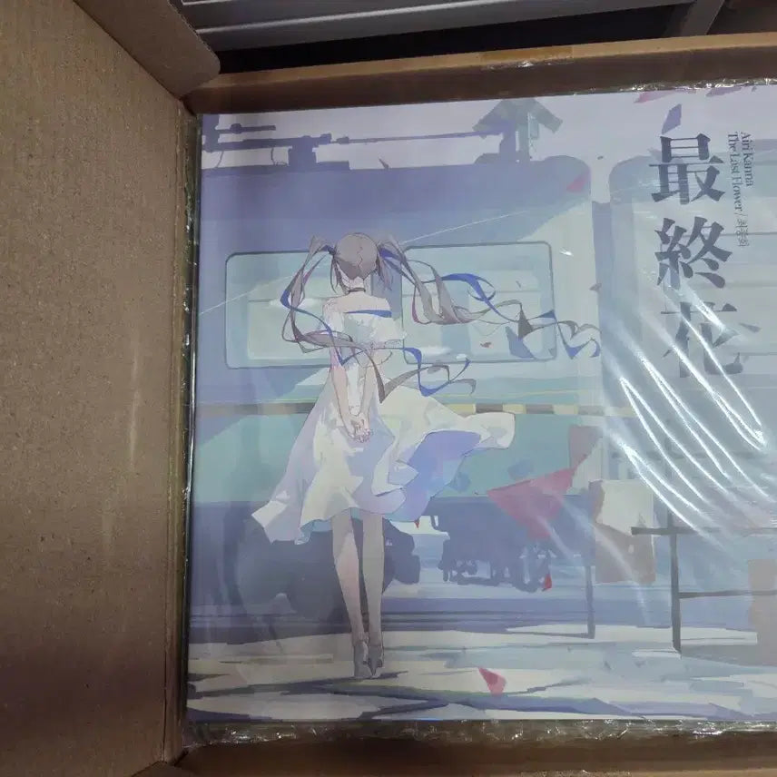 [BUNJANG] Airy Kanna Final Episode LP Album / 아이리 칸나 최종화 lp 미개봉 팝니다