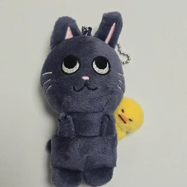 [BUNJANG] RIIZE Wonbin 1st TOUNYOURDOLL 10cm Doll / 라이즈 원빈 1기 토냥덕 10cm