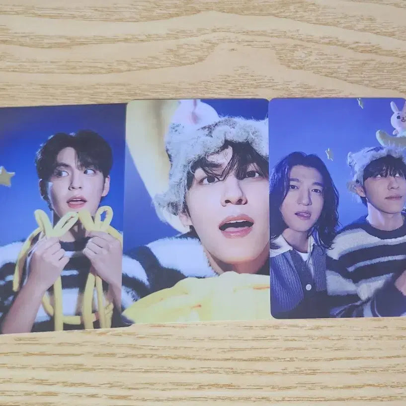 [BUNJANG] Day6 Wonpil Concert Trading Card Bundle Set / 일괄) 데이식스 클콘 트레카 원필