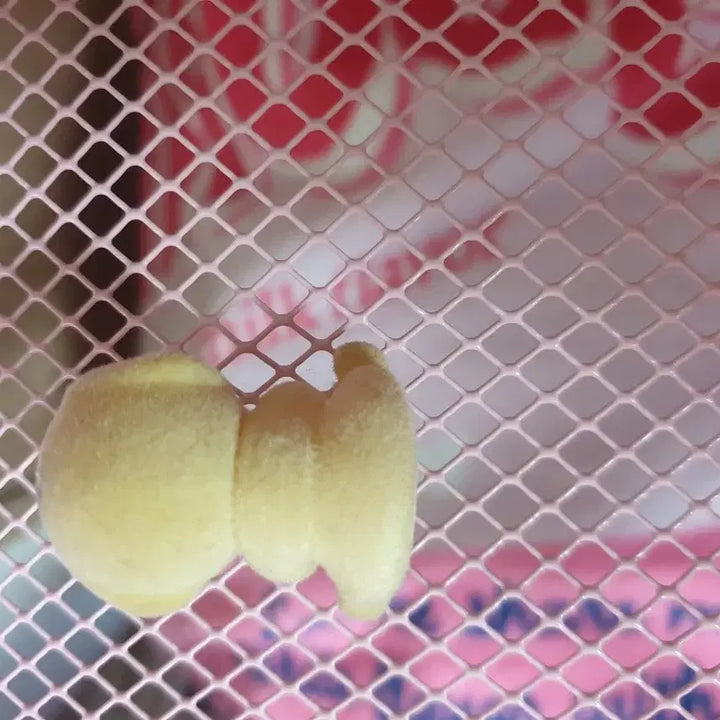 [BUNJANG] Sylvanian Families Baby Figure / 실바니안 아기