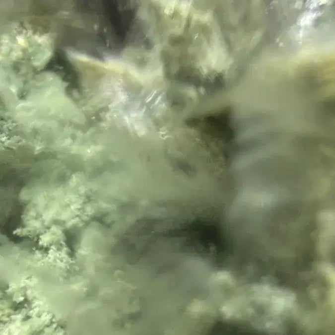[BUNJANG] Glassy Fluorite Specimen / 그린 유리질 형석